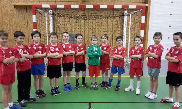 Les – 10 ans d’Angers Noyant HBC, champions départementaux, en Finale de la Coupe de l’Anjou