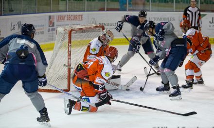 Premier match de préparation réussi pour les Ducs d’Angers face aux Dogs de Cholet.