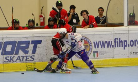 Les Hawks Rollers Hockey organisent leur tour de chauffe, le week-end du 17 et 18 Septembre.