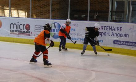 11e édition du stage d’Été de hockey sur glace à Angers