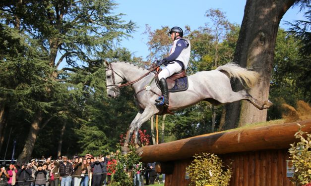 Mondial du Lion 2016, une édition qui s’annonce passionnante