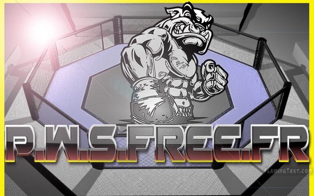 Portes ouvertes au club Pankration Wrestling Soumissions d’Angers.