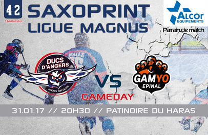 Ligue Magnus (42e journée) : Les Ducs d’Angers reçoivent les GAMYO d’Épinal, en match avancé.