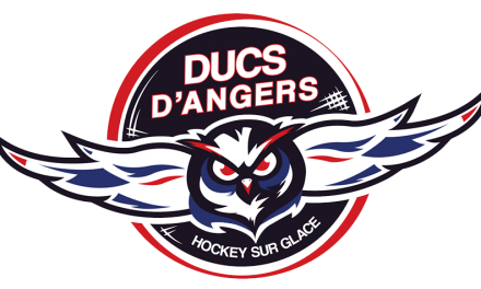 Trois joueurs français viennent renforcer les Ducs d’Angers, pour la saison 2018/2019 !