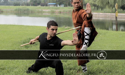 Venez découvrir l’École de Wushu des Pays de Loire.