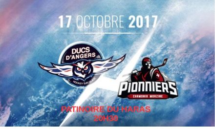 Ligue Magnus (14e journée) : Les Ducs d’Angers reçoivent les Pionniers de Chamonix, ce soir à 20h30 !