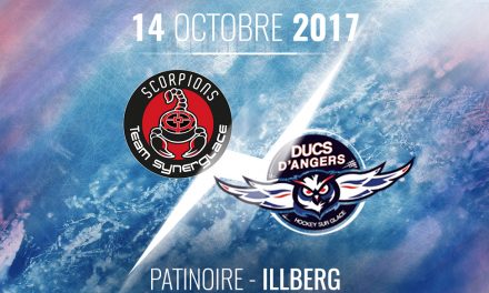 Ligue Magnus (12e journée) : Victoire impérative pour les Ducs d’Angers face à Mulhouse, ce samedi.