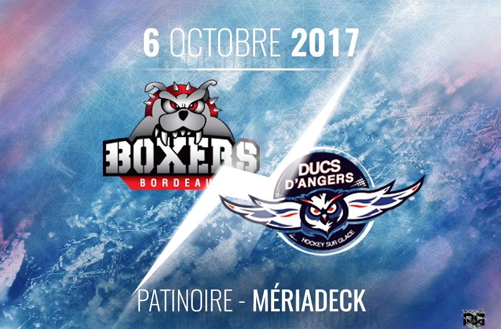 Ligue Magnus (10e journée) : Les Ducs d’Angers devront réagir chez les Boxers de Bordeaux.