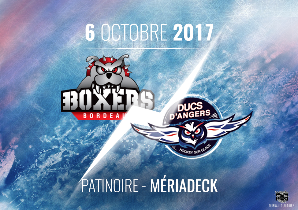 Ligue Magnus (10e journée) : Les Ducs d’Angers devront réagir chez les Boxers de Bordeaux.