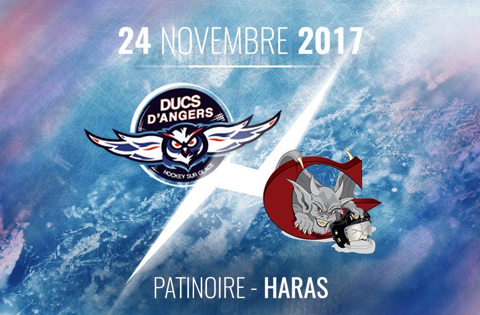 Ligue Magnus (22e journée) : Les Ducs d’Angers reçoivent les Gothiques d’Amiens, ce vendredi à 20h30 !