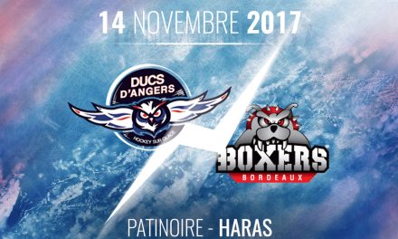 Ligue Magnus (20e journée) : Les Ducs d’Angers reçoivent les Boxers de Bordeaux, ce mardi à 20h30 !