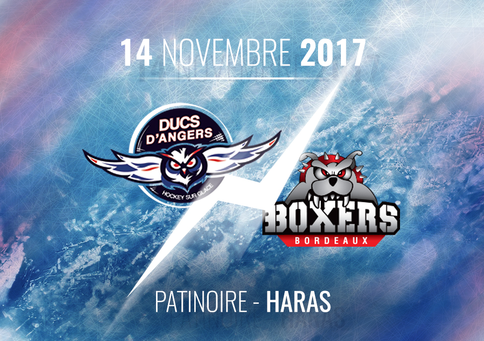 Ligue Magnus (20e journée) : Les Ducs d’Angers reçoivent les Boxers de Bordeaux, ce mardi à 20h30 !
