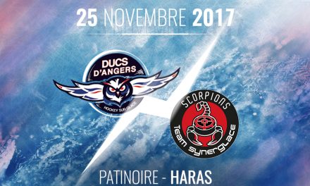 Ligue Magnus (22e journée) : Les Ducs doivent confirmer face à Mulhouse, ce samedi, à 21h10.