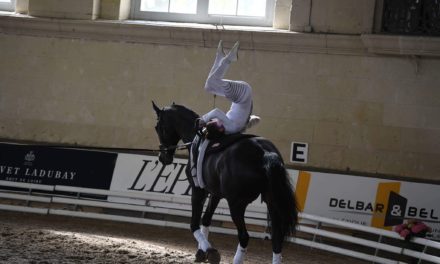 A la rencontre de Manon Moutinho : championne de voltige.