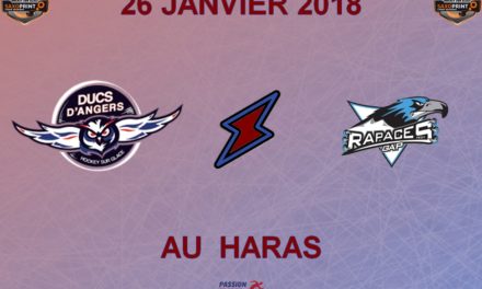 Ligue Magnus (39e journée) : Angers doit gagner face au champion de France gapençais