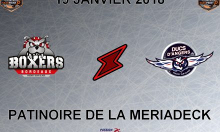 Ligue Magnus (36e journée) : Angers veut gagner à Bordeaux revenir dans les tallons de son adversaire du jour.