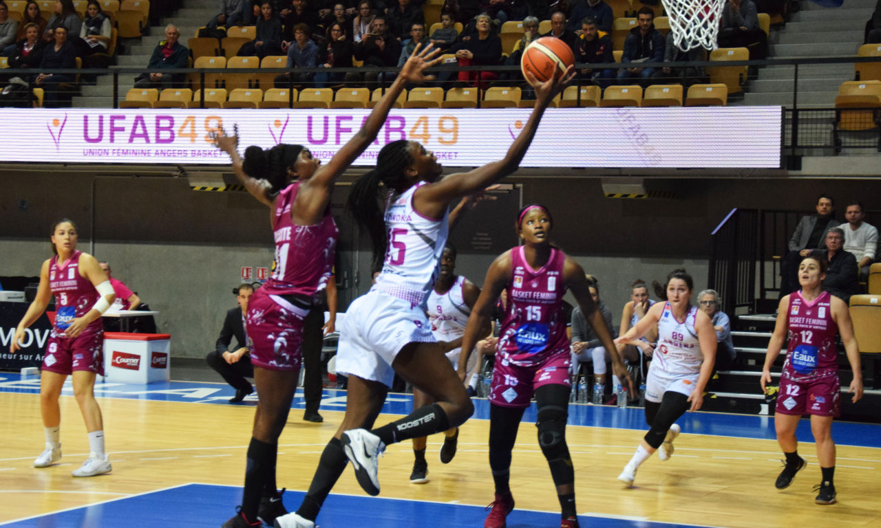 LF2 : Angers continue sur sa lancée et enchaîne face à Arras (69-34)