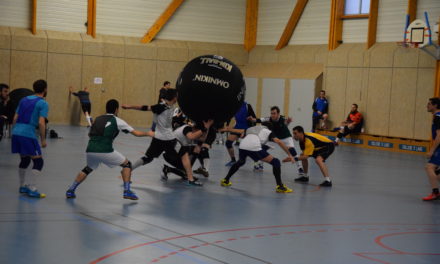 Championnat de France de KinBall : une journée complète pour l’AAEEC des Ponts-de-Cé.