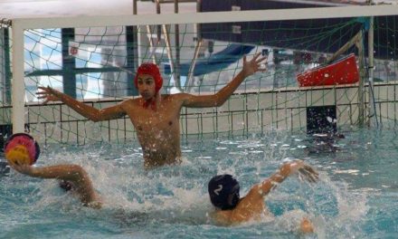 Angers Natation Water-Polo : Angers – Le Havre, une double confrontation pour retrouver le podium.