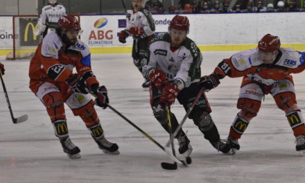 Division 1 (Dernière journée) : Fin de saison ou Playsdown pour les Dogs de Cholet ?