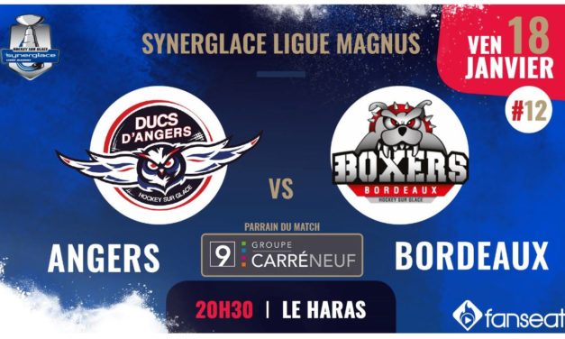 Ligue Magnus (12e journée) : Grosse réaction attendue des Ducs d’Angers face à Bordeaux !