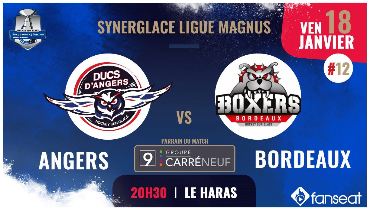 Ligue Magnus (12e journée) : Grosse réaction attendue des Ducs d’Angers face à Bordeaux !