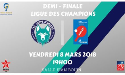 Les Loups d’Angers disputeront une demi-finale historique de Ligue des Champions face à Orenburg !