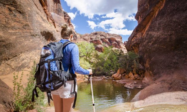Équipez-vous de bonnes chaussettes confortables pour vos randonnées.