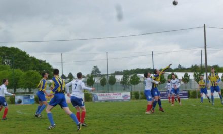 D2 (19e journée) : Victoire logique de Sainte-Gemmes-sur-Loire face à Val d’Erdre-Auxence (3-1).