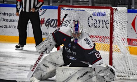 Ligue Magnus (J11) : Les Ducs remportent une victoire laborieuse face au promu Briançonnais.