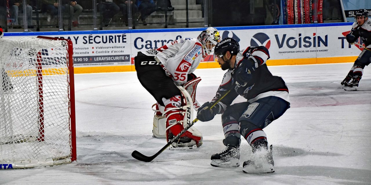 Ligue Magnus (J16) : Victoire pleine de panache des Ducs d’Angers face à Amiens (7-2).