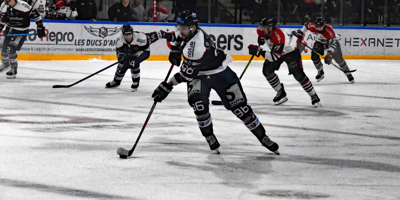 LM (M4) : Les réactions des hockeyeurs angevins, après la qualification pour les demi-finales.