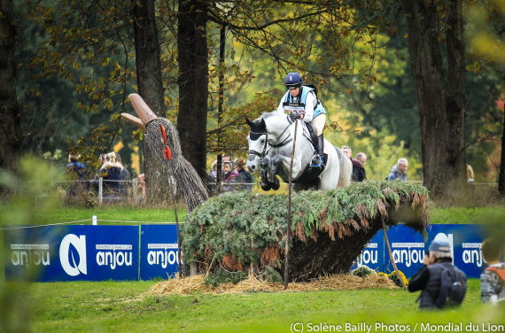 Le Mondial du Lion 2020 se déroulera sans public.