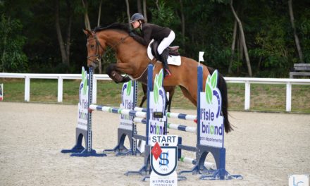 Concours Interrégional de Saut d’Obstacles au Parc départemental de l’Isle Briand.