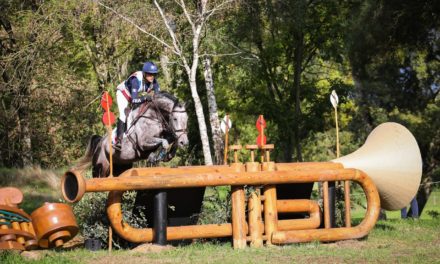 Retour sur la fin des épreuves de dressage.