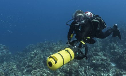 Dix cadeaux à offrir à un passionné de plongée sous-marine.