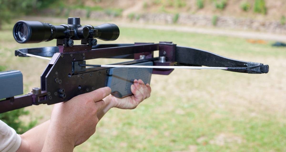 Arbalète à poulies ou classique : le comparatif.