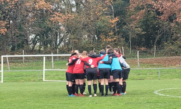 Les Choletaises perdent de peu contre les Orvaultaises…