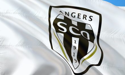 Angers SCO, un effectif cohérent pour un club qui vise la stabilité.