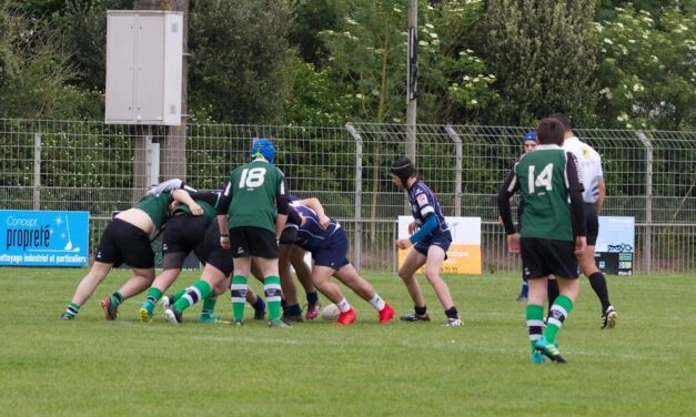 Rugby à 7 : Angers SCO Rugby reçoit les finales régionales M16 et M19.