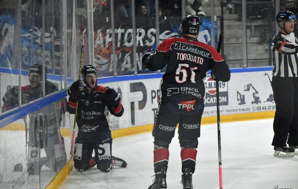 Un parcours sans faute pour les Ducs d’Angers dans les trois compétitions disputées !