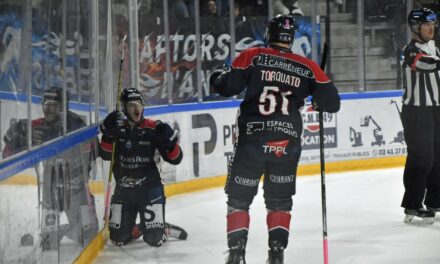 Un parcours sans faute pour les Ducs d’Angers dans les trois compétitions disputées !