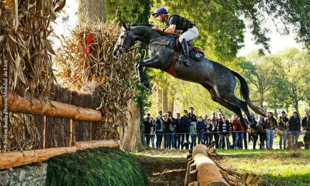 Une journée de cross exceptionnelle et un nouveau record atteint avec 46 800 spectateurs !