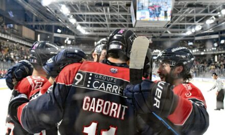 Les Ducs d’Angers affrontent les Boxers de Bordeaux, ce vendredi soir