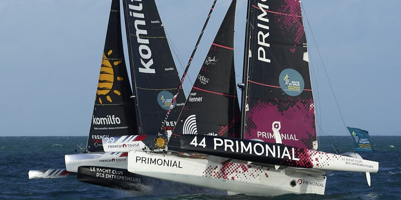 Une préférence pour le sud !