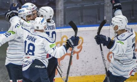 Nitra remporte logiquement la Continental Cup à Angers.