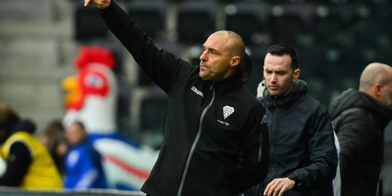 Le SCO d’Angers débutera ses matchs de préparation le 8 juillet prochain