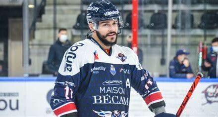 Ducs d’Angers : la Ligue Magnus a dévoilé le calendrier de la saison prochaine