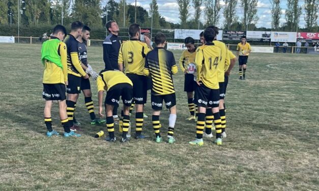 D2 (J22) : L’équipe réserve de l’AS Tiercé-Cheffes est proche du maintien.