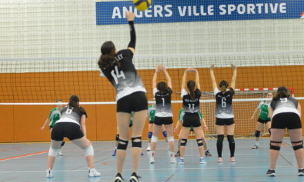 Volley-ball (NF3) : Les Angevines évolueront en NF2 la saison prochaine !